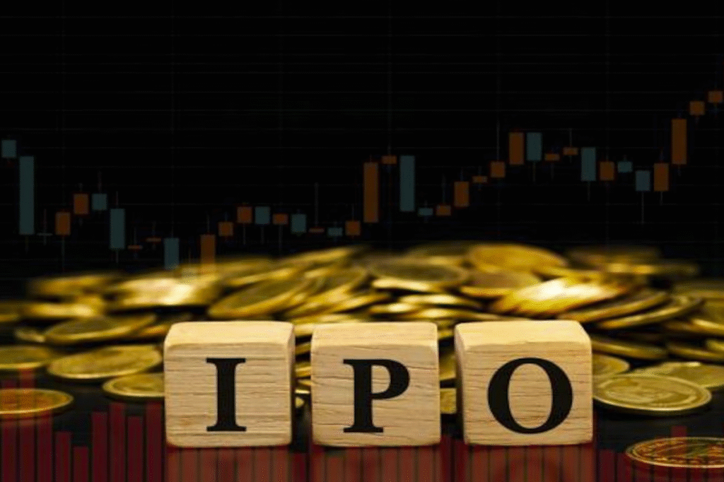 What is an IPO (Initial Public Offering)?