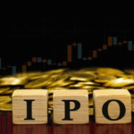 What is an IPO (Initial Public Offering)?